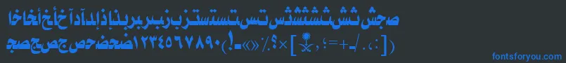 AymTaybahSUNormal.フォントについての詳細 フォントAymTaybahSUNormal. – 黒い背景に青い文字