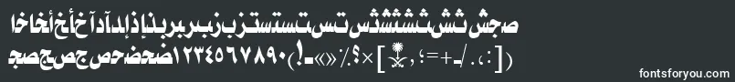 フォントAymTaybahSUNormal. – 黒い背景に白い文字