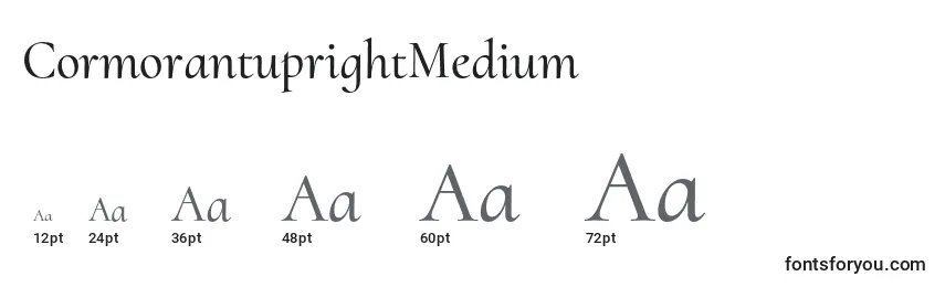 Размеры шрифта CormorantuprightMedium