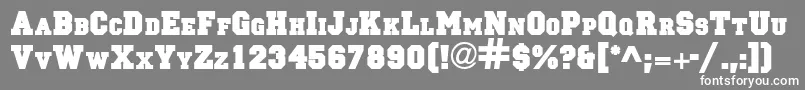 PrincessdbNormal Font – White Fonts on Gray Background