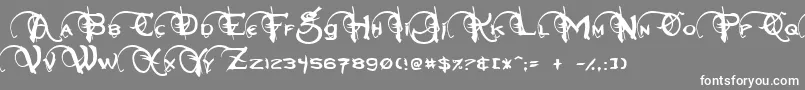 Neverwinter Font – White Fonts on Gray Background