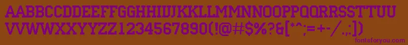 ACampus Font – Purple Fonts on Brown Background