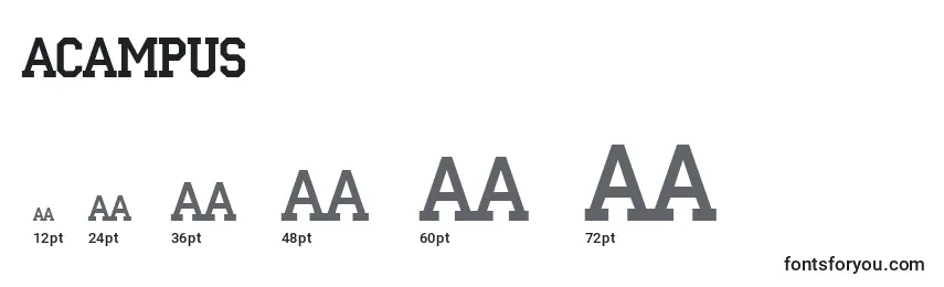 Размеры шрифта ACampus