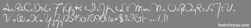 Masanascript4silueta Font – White Fonts on Gray Background