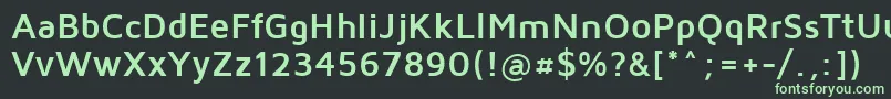 フォントMavenProBold – 黒い背景に緑の文字