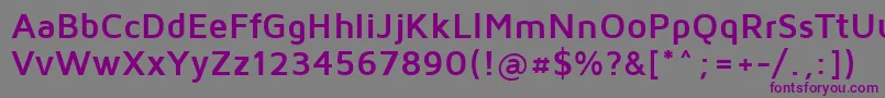 Czcionka MavenProBold – fioletowe czcionki na szarym tle