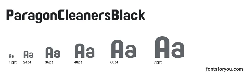 ParagonCleanersBlack Font Sizes