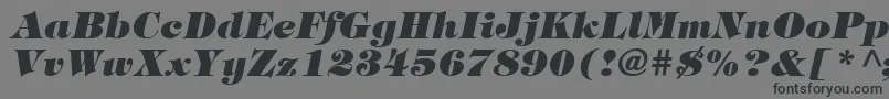 ItcTiffanyLtHeavyItalic Font – Black Fonts on Gray Background