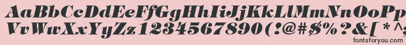 フォントItcTiffanyLtHeavyItalic – ピンクの背景に黒い文字