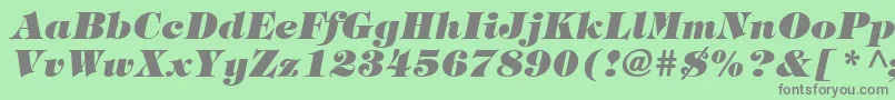 ItcTiffanyLtHeavyItalic Font – Gray Fonts on Green Background