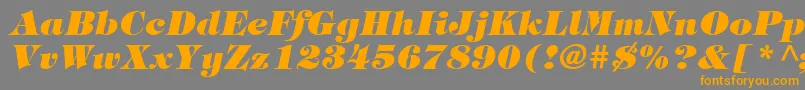 ItcTiffanyLtHeavyItalic-fontti – oranssit fontit harmaalla taustalla