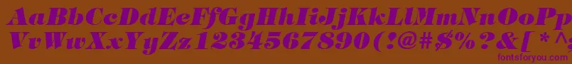 ItcTiffanyLtHeavyItalic Font – Purple Fonts on Brown Background