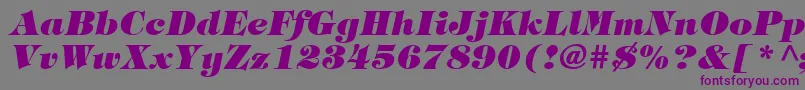 ItcTiffanyLtHeavyItalic Font – Purple Fonts on Gray Background