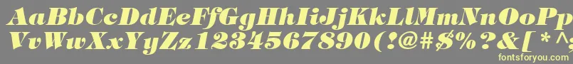 ItcTiffanyLtHeavyItalic Font – Yellow Fonts on Gray Background