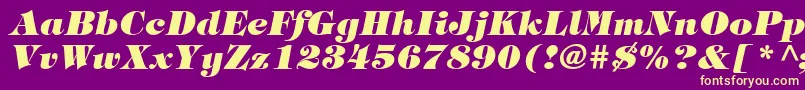 ItcTiffanyLtHeavyItalic-fontti – keltaiset fontit violetilla taustalla