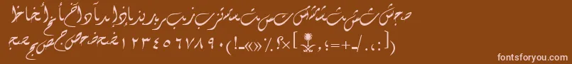 AymDiwany1SUNormal.1rmal. Font – Pink Fonts on Brown Background