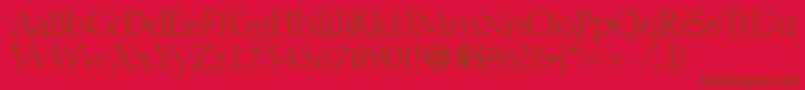 DioscurRegularDb Font – Brown Fonts on Red Background