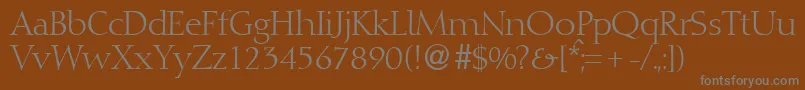 DioscurRegularDb Font – Gray Fonts on Brown Background