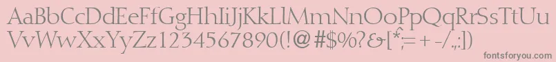 DioscurRegularDb Font – Gray Fonts on Pink Background