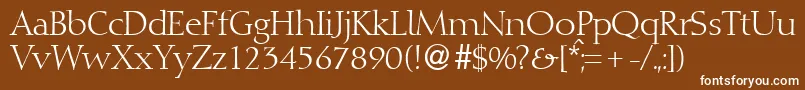 DioscurRegularDb Font – White Fonts on Brown Background