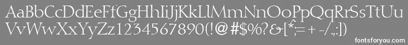 フォントDioscurRegularDb – 灰色の背景に白い文字