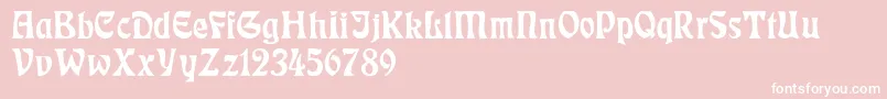 RudelsbergNormal Font – White Fonts on Pink Background