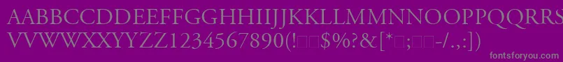 フォントAdobeGaramondLtTitlingCapitals – 紫の背景に灰色の文字