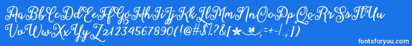 MarchCalligraphyOtf Font – White Fonts on Blue Background