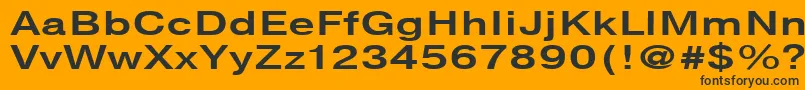 En savoir plus sur la police NtharmonicaBold140b Police NtharmonicaBold140b – polices noires sur fond orange
