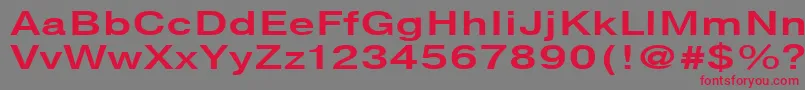 NtharmonicaBold140b Font – Red Fonts on Gray Background