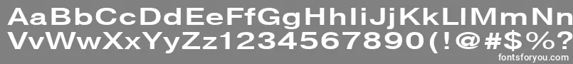 NtharmonicaBold140b Font – White Fonts on Gray Background