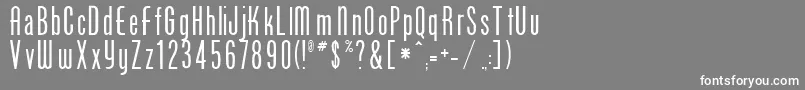 PhoenixRegular Font – White Fonts on Gray Background