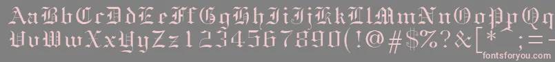 フォントGothice – 灰色の背景にピンクのフォント