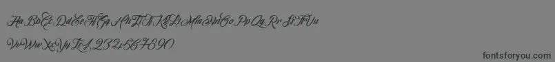 OmbelineLudolphides Font – Black Fonts on Gray Background