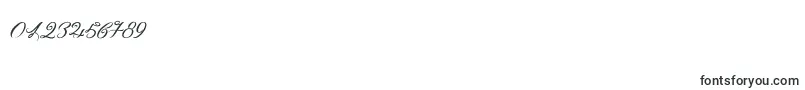 OmbelineLudolphides Font – Fonts for Numbers and Digits