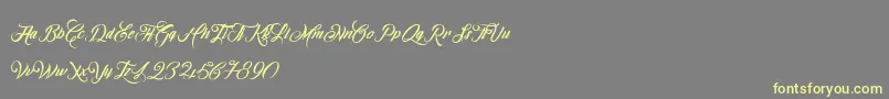 OmbelineLudolphides Font – Yellow Fonts on Gray Background