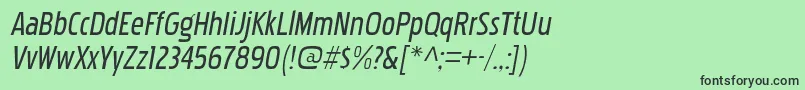 PakenhamcdrgItalic Font – Black Fonts on Green Background
