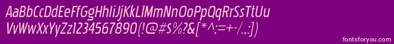 PakenhamcdrgItalic Font – Pink Fonts on Purple Background