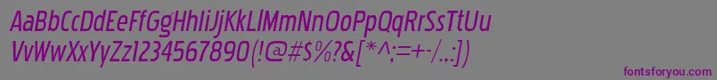 Шрифт PakenhamcdrgItalic – фиолетовые шрифты на сером фоне