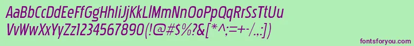 PakenhamcdrgItalic Font – Purple Fonts on Green Background