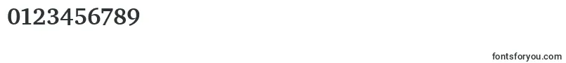 CharterBdItcTtBold Font – Fonts for Numbers and Digits