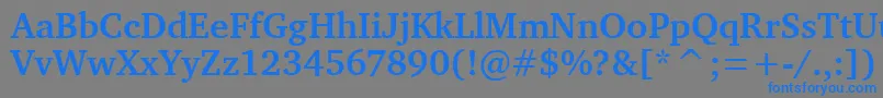 CharterBdItcTtBold Font – Blue Fonts on Gray Background