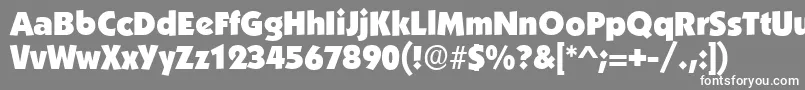 BoulderRegular Font – White Fonts on Gray Background