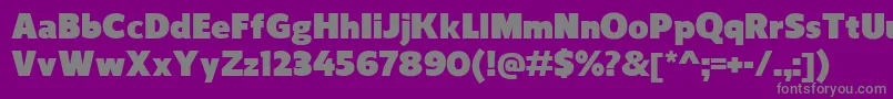 フォントReganUltra – 紫の背景に灰色の文字