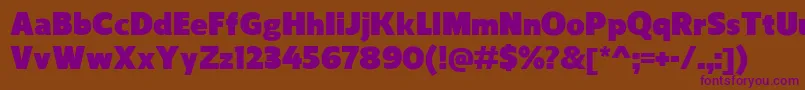 ReganUltra-fontti – violetit fontit ruskealla taustalla