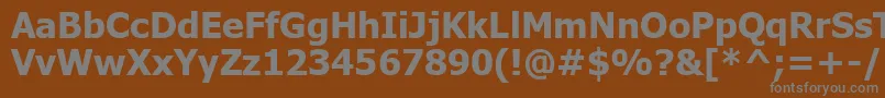 Tahomabd Font – Gray Fonts on Brown Background
