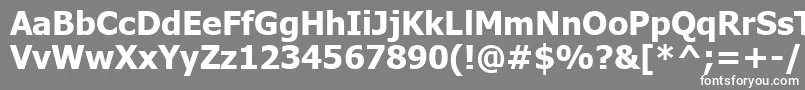 Tahomabd Font – White Fonts on Gray Background