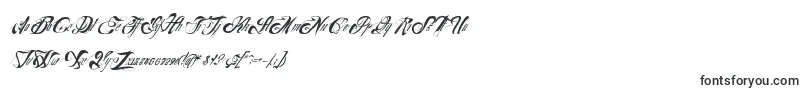 Nuevoyork-Schriftart – Kalligrafische Schriften