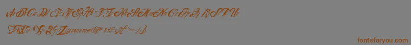 Nuevoyork Font – Brown Fonts on Gray Background