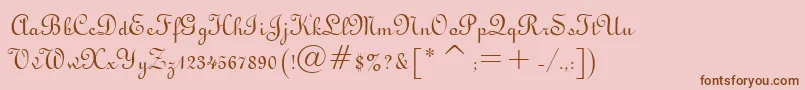 TypoUprightBt Font – Brown Fonts on Pink Background